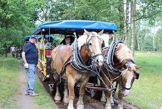 Kutschfahrt durch die Heide mit dem Lions-Club