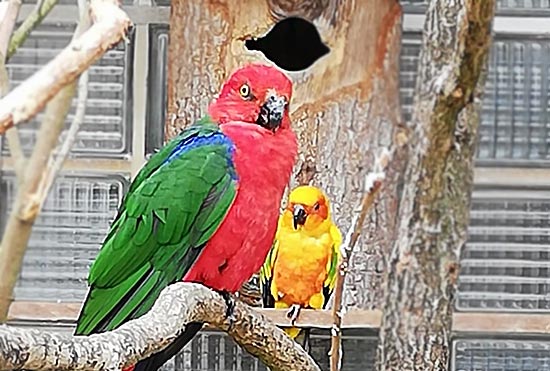 Ausflug in den Vogelpark Walsrode